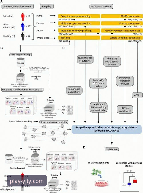阿根廷友谊赛大捷与专业观赛平台体验详解
