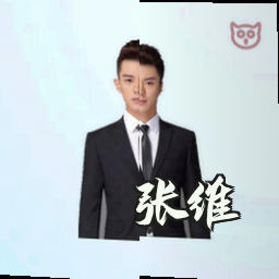张维